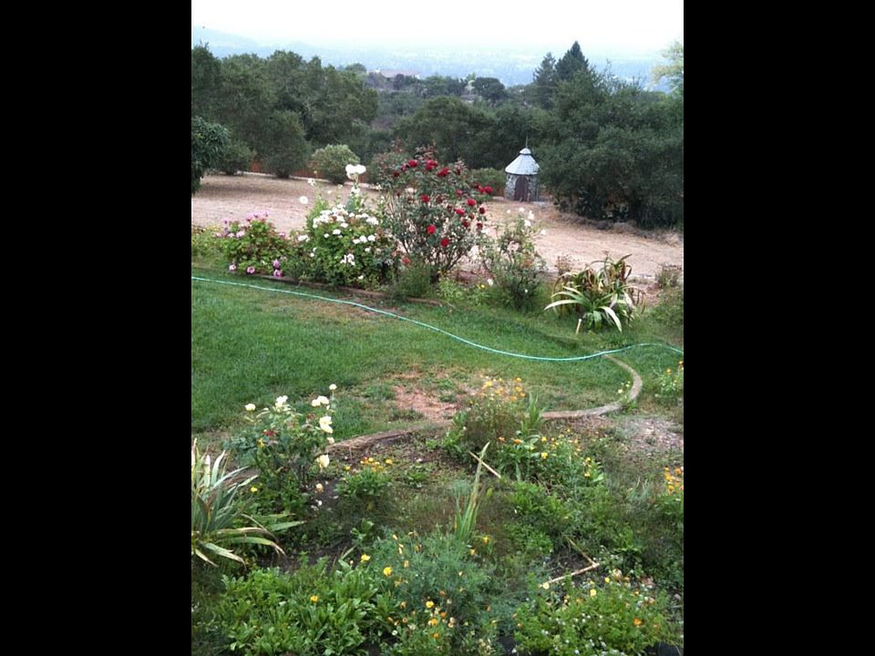 2nd image of 2375 Atlas Peak Rd