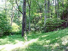 4th image of 0 Skyway Dr #44-A