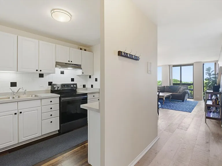 1660 N Lasalle St #707 — Photo 12
