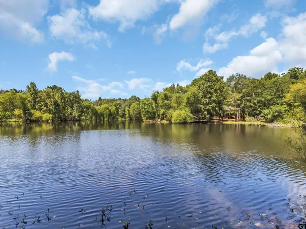 4891 Fm 856 N, Troup, TX 75789