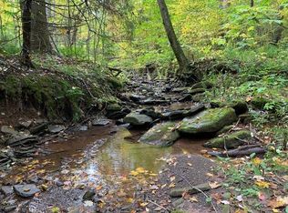 3737 Weaver Hollow Rd, Margaretville, NY 12455