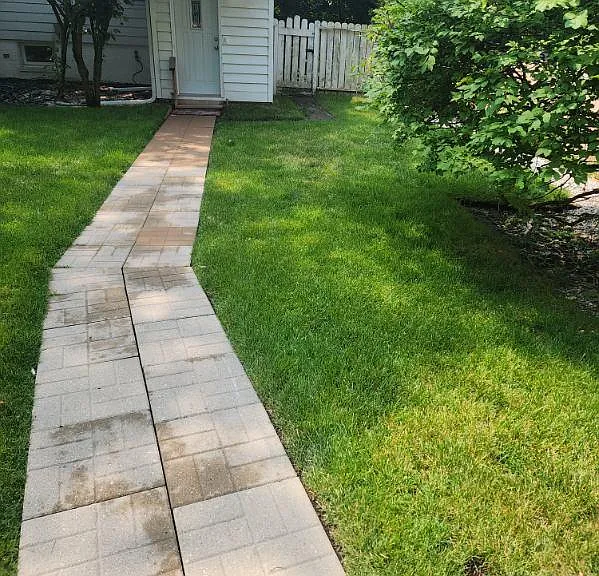 Backyard view towards back door