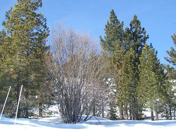 Lot view