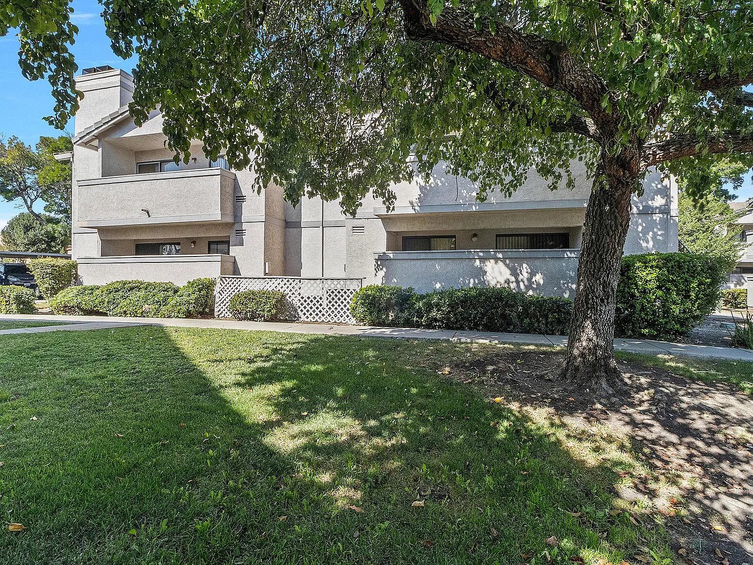 Summerwood — Photo 4