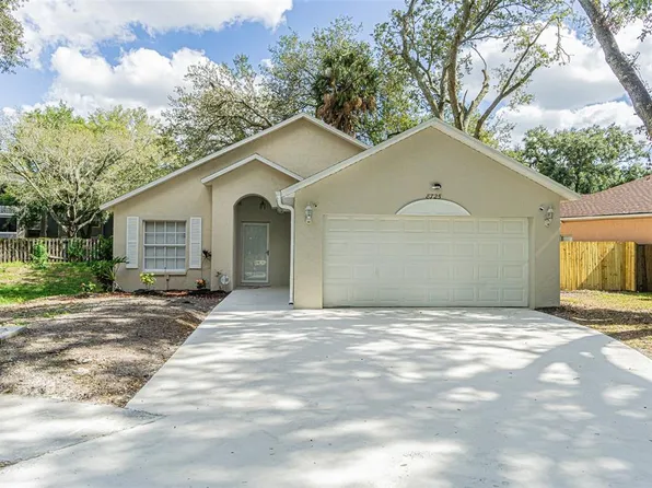 8725 Busch Oaks St, Tampa, FL 33617