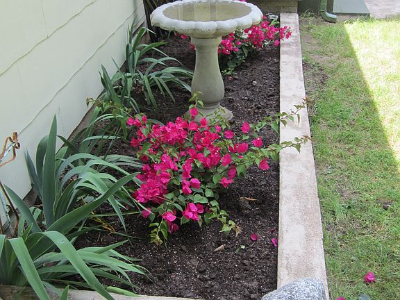 Front Flower Bed