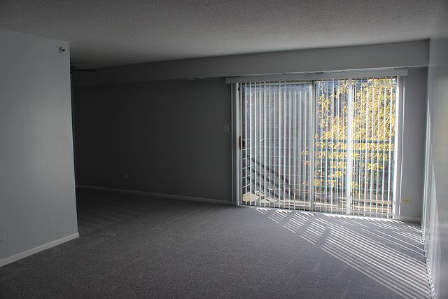 2nd image of 1001 Buccaneer Dr #8-05