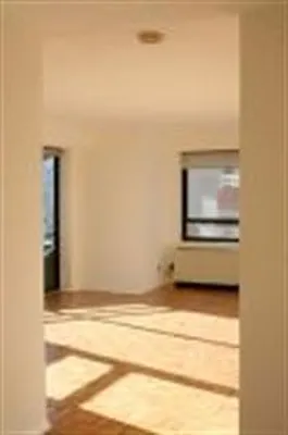 Rented by Douglas Elliman | media 35