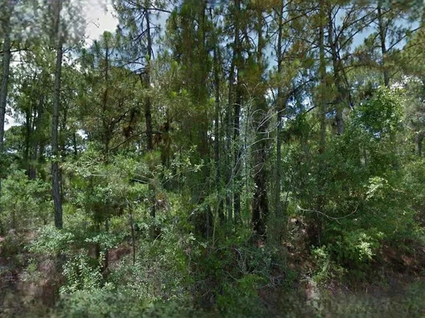 Boyd Ave Lot 5, North Pt, FL 34286