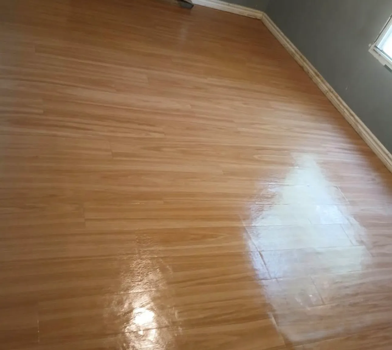 3 bed, 1216 sqft, $1,100 — Photo 3