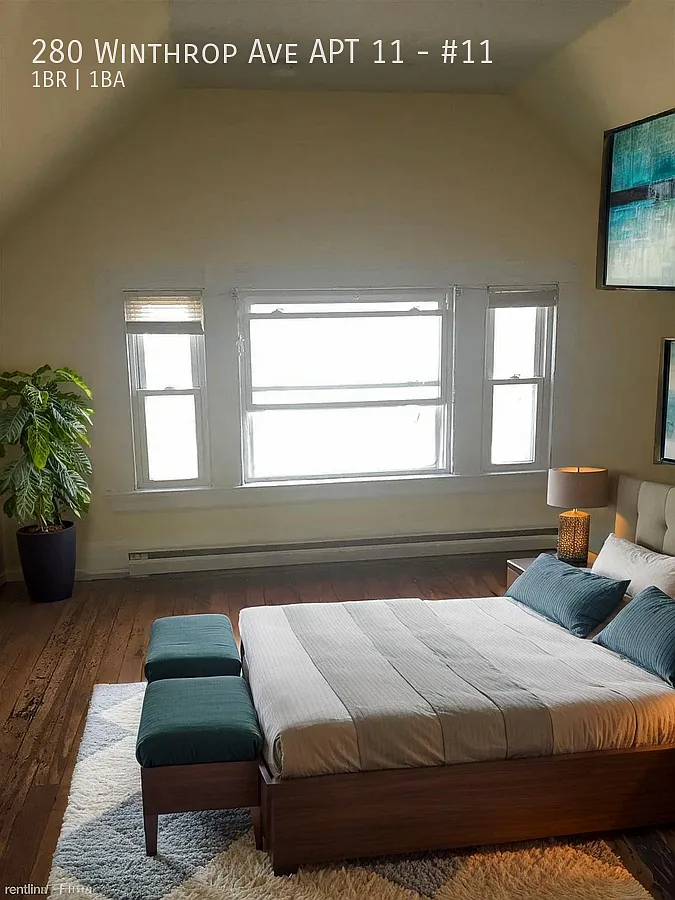 Charming 1-Bedroom Apartment in New Haven — Photo 4