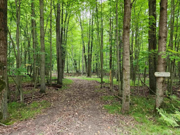 Lots 878 & 879 Hemlock Ln, Farwell, MI 48622