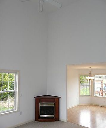 Living Room/Great Room Fireplace