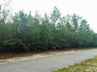 1413 Chippewa Ln, Geneva, FL 32732