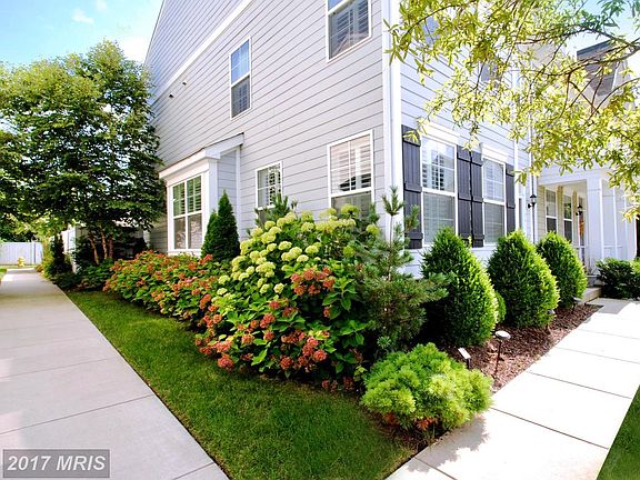 Lush Landscaping / Additional End Unit Privacy