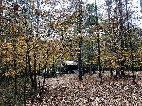 Driveway in autumn