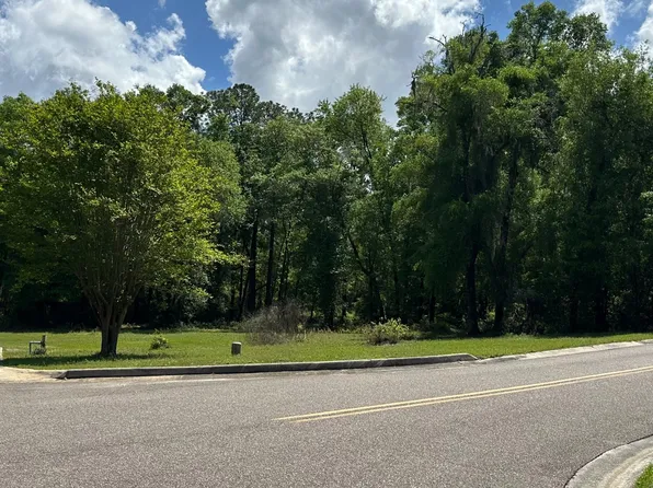 119 SW Woodleaf Ct, Lake City, FL 32024