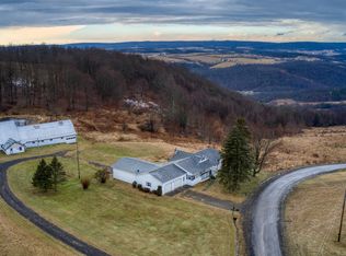 95 Cleggs Hill Rd, Roaring Branch, PA 17765