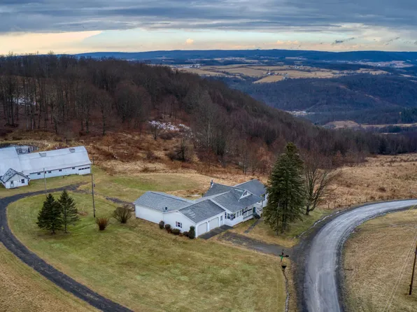 95 Cleggs Hill Rd, Roaring Branch, PA 17765