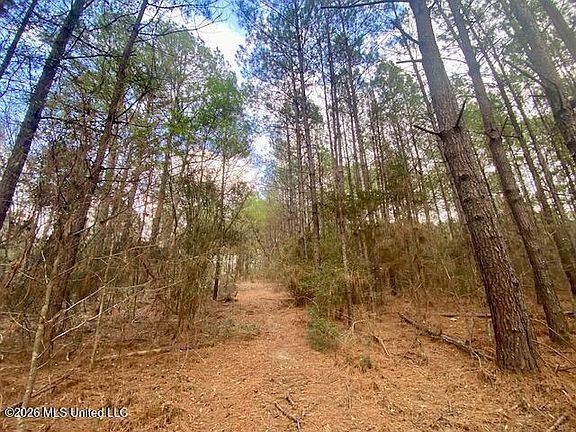 5th image of 2190 Summit Holmesville Rd