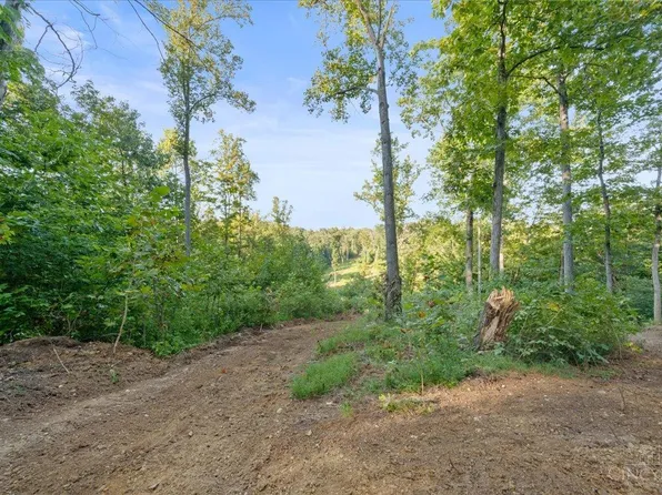 113 Waggoner Riffle Rd, West Union, OH 45693