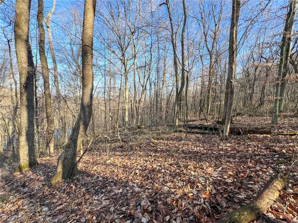 36 Us, Warsaw, OH 43844