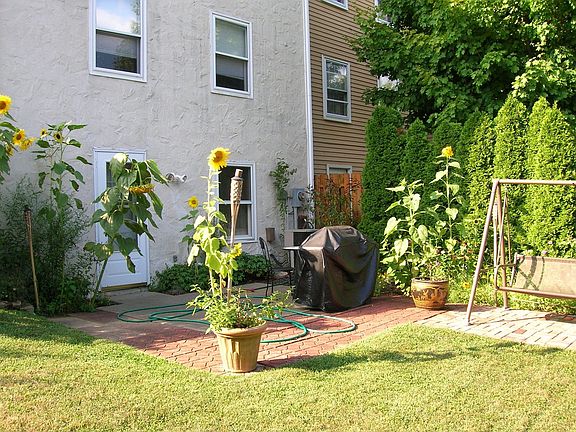 Back Yard - Very Private!