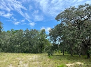 6047 W Holiday St, Homosassa, FL 34446
