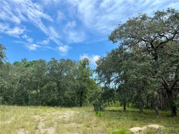 6047 W Holiday St, Homosassa, FL 34446