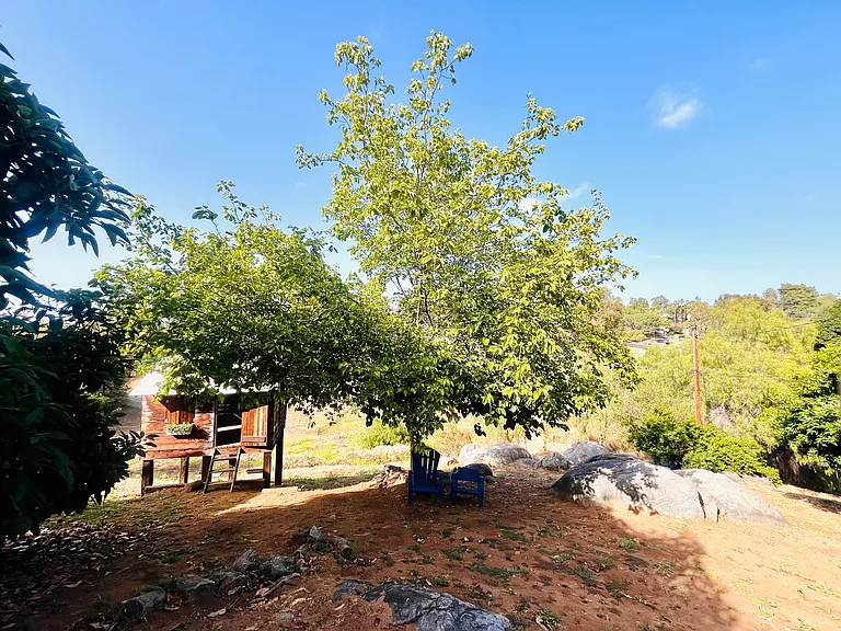 805 Van Horn Rd — Photo 9