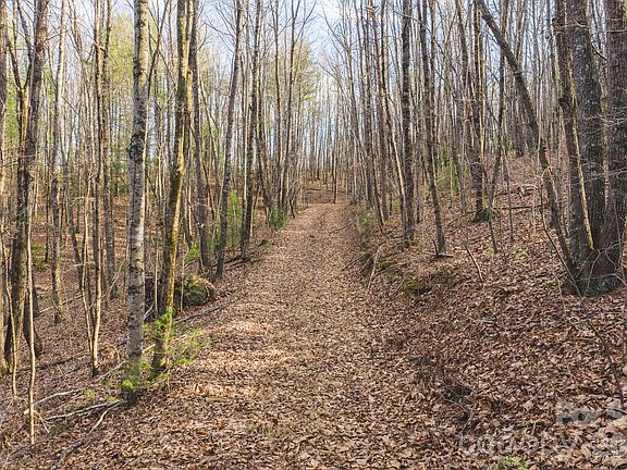 2nd image of All Healing Springs Rd #2
