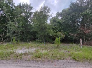 SE 179th Pl LOT 30, Summerfield, FL 34491