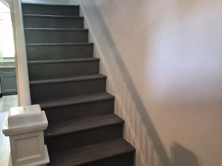 2228 Lutz Ave — Photo 5