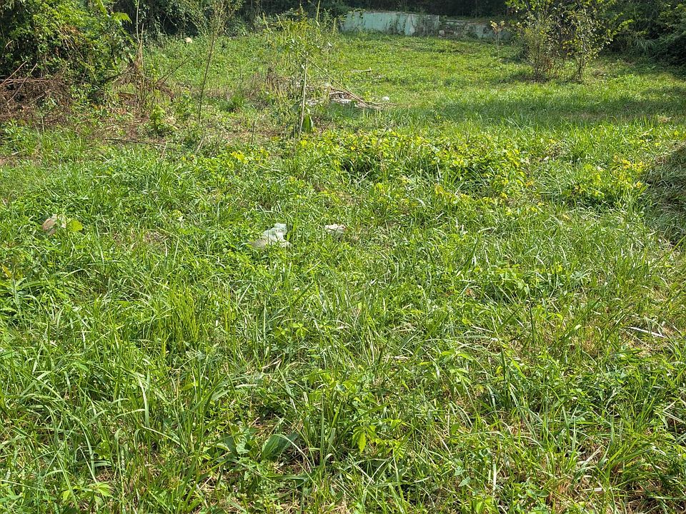 2nd image of 23 Martin Rd