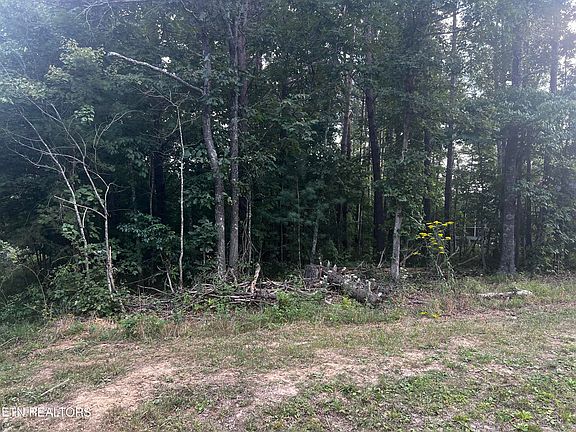 4th image of 221 Thrushwood Dr