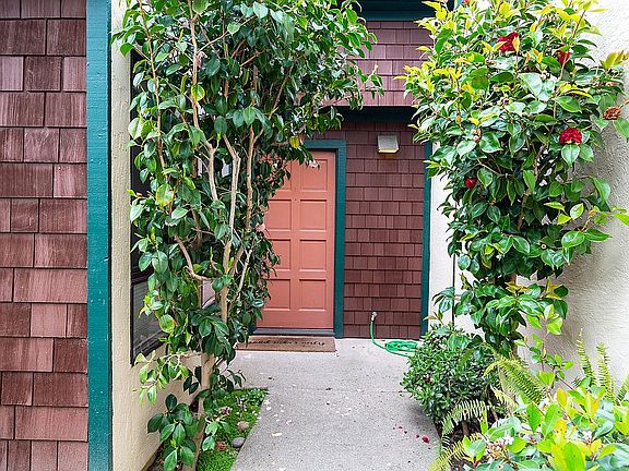 3rd image of 402 Lagunaria Ln