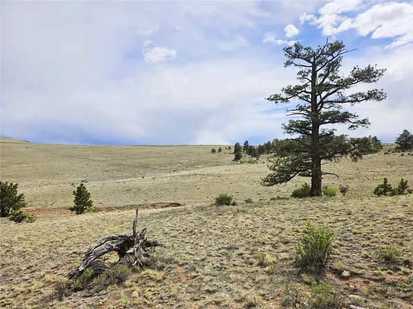 PCS#24131 Chato Road, Hartsel, CO 80449