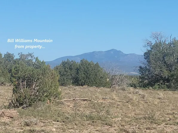 10 Acres N. Tanner Road NE #17F, Ash Fork, AZ 86320