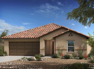 10107 S Great Plains Way, Vail, AZ 85641
