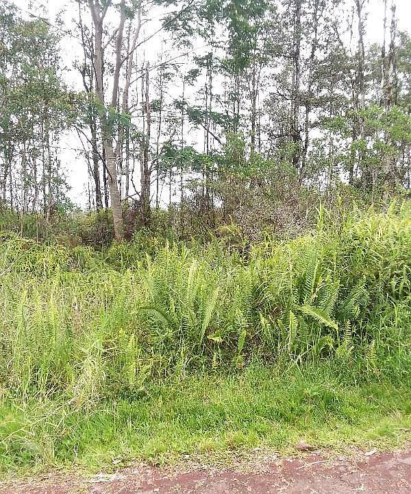 1st image of 16-2033 Plumeria Dr
