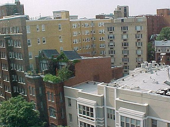 View from the apartment