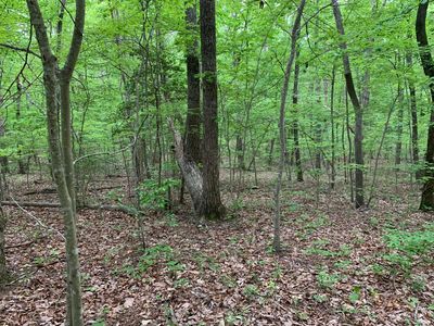 0 N Stewart Ln, Rising Fawn, GA, 30738