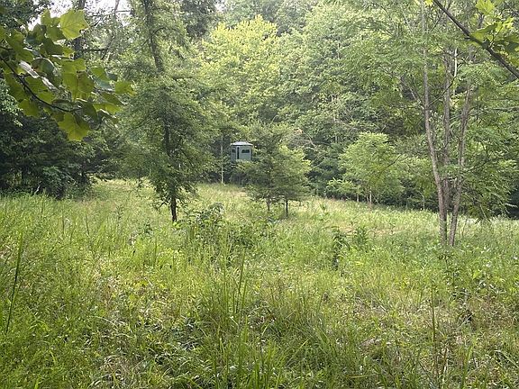5th image of 0 Cannon Hollow Rd