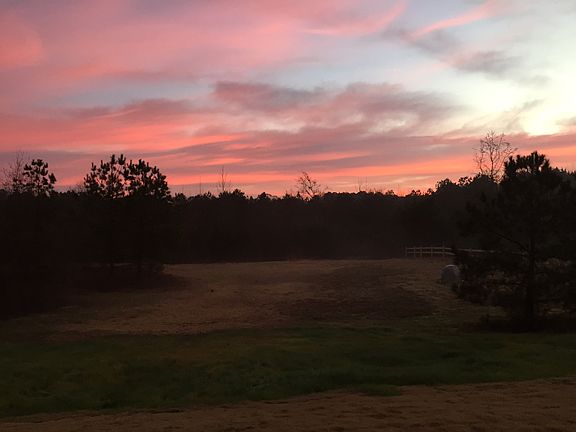 View from the living room