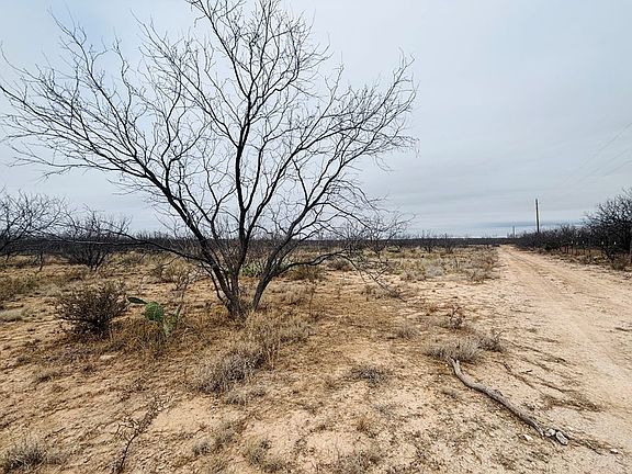 4th image of 11993 Twin Lakes Lane