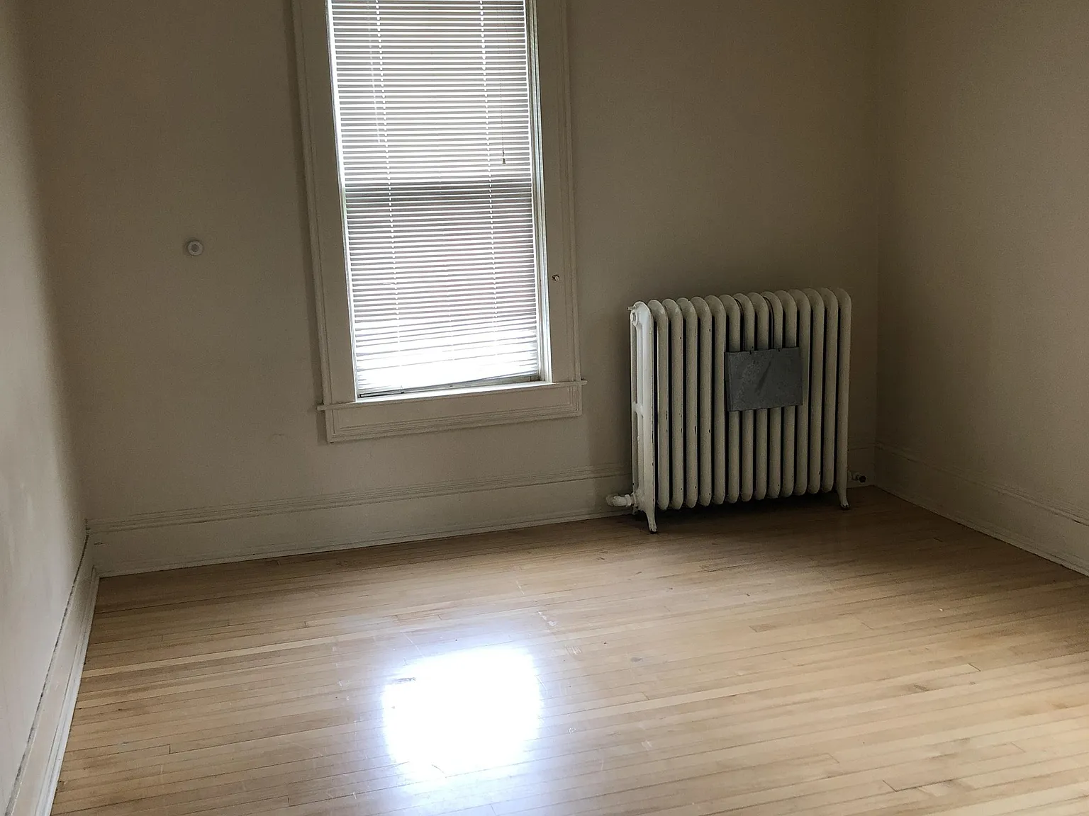 233 1/2 Broadway St - 1 — Photo 4