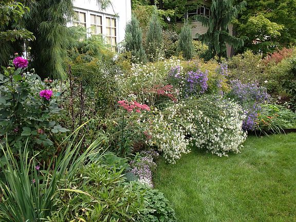 front bed (fall)