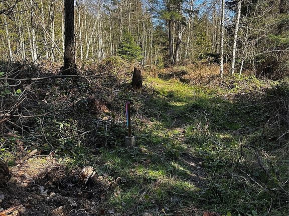 4th image of 99 Lot 3 Robinson Road