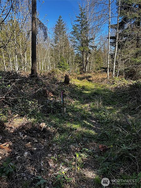 4th image of 99 Lot 3 Robinson Road