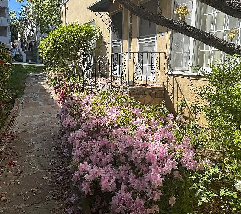 1st image of 1532 S Beverly Dr